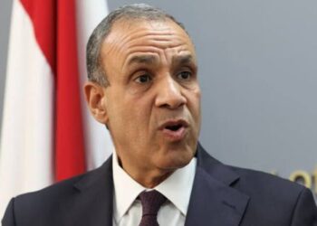 Egypt’s Foreign Minister Condemns Israeli Actions in Syria