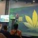South Africa Becomes First African Nation to Legalise Private Cannabis Use