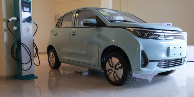 Ethiopia Unveils Ambitious Incentives to Propel Electric Vehicle Adoption