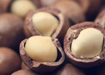 Kenya Temporarily Lifts Ban on Raw Macadamia Exports