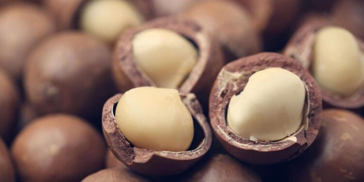 Kenya Temporarily Lifts Ban on Raw Macadamia Exports