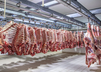 Namibia’s Beef Exports Surge by 44% Amid Mixed Trends in Livestock Sector