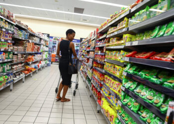South Africa Revises Inflation Basket to Reflect Evolving Consumer Trends