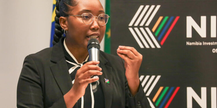 Namibia Accelerates Cybersecurity Measures Amid Growing Digital Landscape