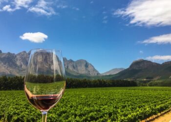 Explore Cape Town: A Journey Through Nature, History, and Culture