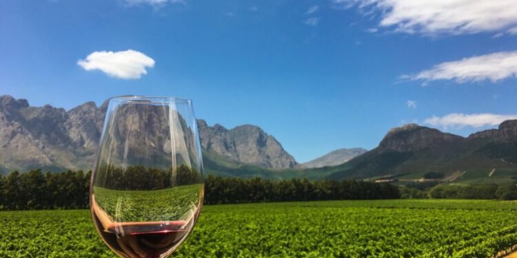 Explore Cape Town: A Journey Through Nature, History, and Culture