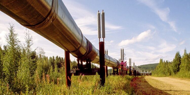 Major Milestones Achieved in the $3.55 Billion Uganda-Tanzania Oil Pipeline Project