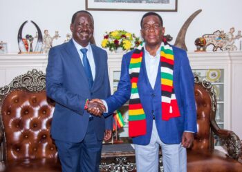 Raila Odinga Engages Southern African Leaders as African Union Commission Elections Approach