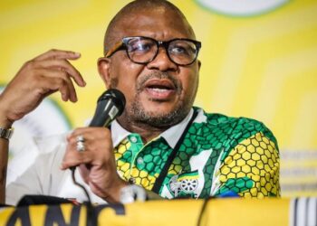 ANC Urges UN Security Council to Intervene in the DRC