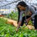 How African Women Drive Growth and Transformation in Agriculture