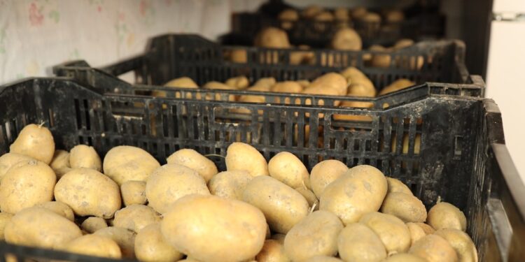 Preserving Potatoes for Extended Freshness: A Guide