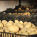 Preserving Potatoes for Extended Freshness: A Guide