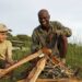 Paws, Paddles, and Progeny: Crafting the Ultimate Botswana Family Safari