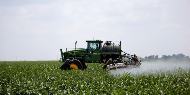 Land Reform or Land Alarm? How Zimbabwe Became South Africa’s Favourite Scarecrow
