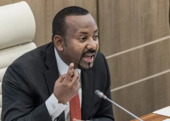 Ethiopia Rules Out Military Action in Pursuit of Seaport Access