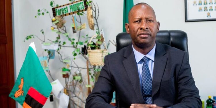 Zambia Seeks to Strengthen Recycling Industry Through Lessons from China’s Waste Management Model