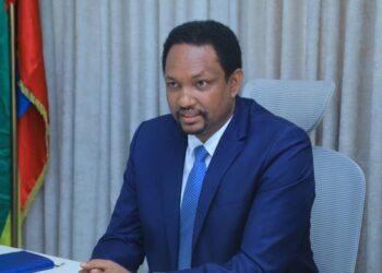 Ethiopia’s Import Substitution Strategy Gains Traction