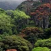 Ethiopia Secures $70 Million in Carbon Trading Through Reforestation Gains