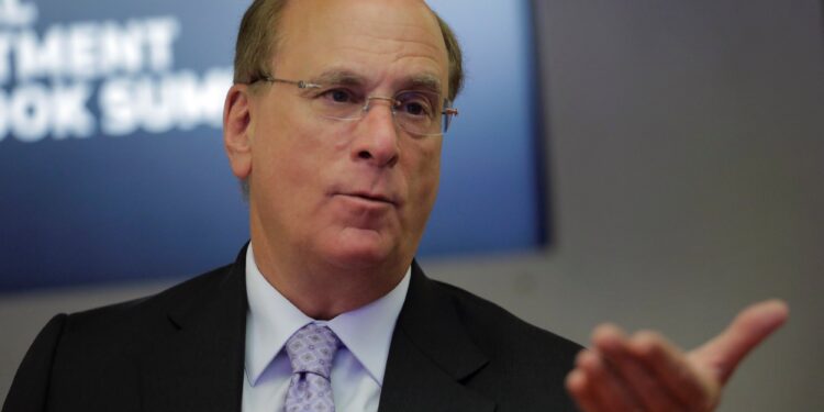 BlackRock CEO Links Private Capital to Resilience in Tariff Era