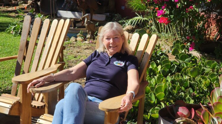 Chameleon Backpackers: A Colourful Gateway for Young Explorers in Namibia