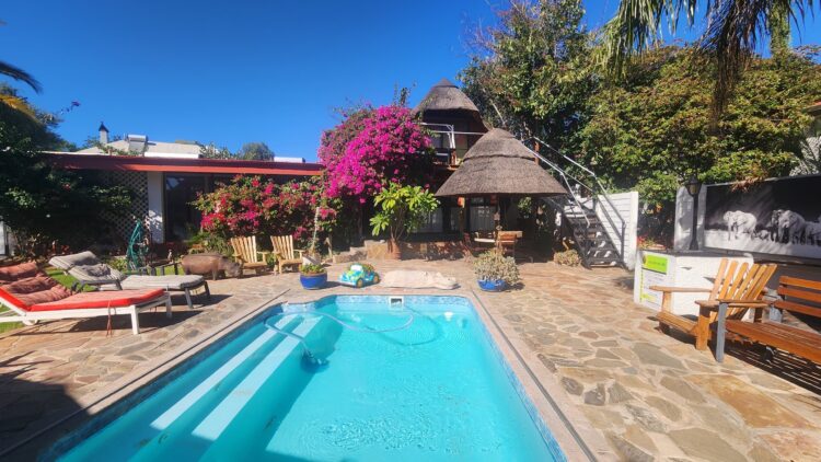 Chameleon Backpackers: A Colourful Gateway for Young Explorers in Namibia