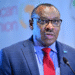 UNECA Urges African Brands to Strengthen Global Visibility