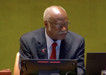 Five Nations Elected to United Nations Security Council as Non-Permanent Members