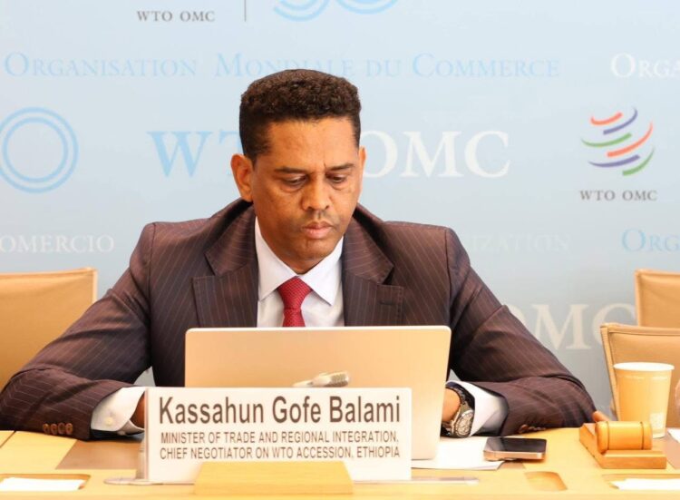 Ethiopia Achieves Historic Export Milestone, Generating USD 7.21 Billion in 11 Months