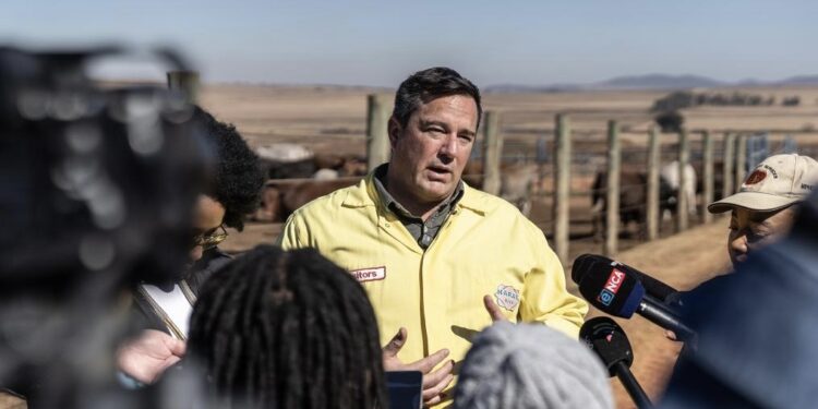 South Africa Launches FMD Vaccination Drive Following Outbreaks in Four Provinces