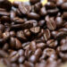 Uganda Overtakes Ethiopia to Become Africa’s Leading Coffee Exporter