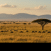Serengeti National Park Named Africa’s Leading National Park for 2025