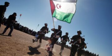 Portugal Backs Morocco’s Western Sahara Plan as Credible Option