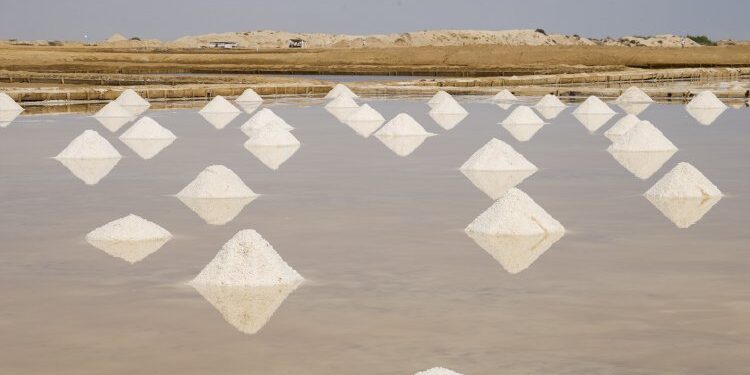 Angola to Begin Salt Exports to the DRC Amid Economic Diversification Push