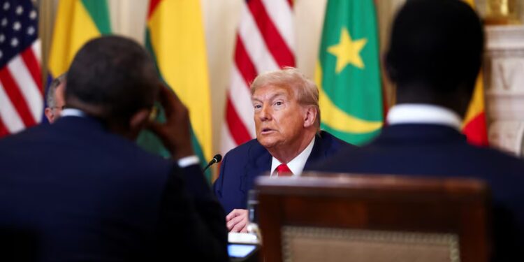 Summit or Stage Show? Trump’s African Overture and the Return of Resource Theatre