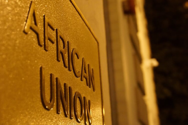 Editorial | Why the African Union Must Challenge the Monopoly of Global Credit Ratings