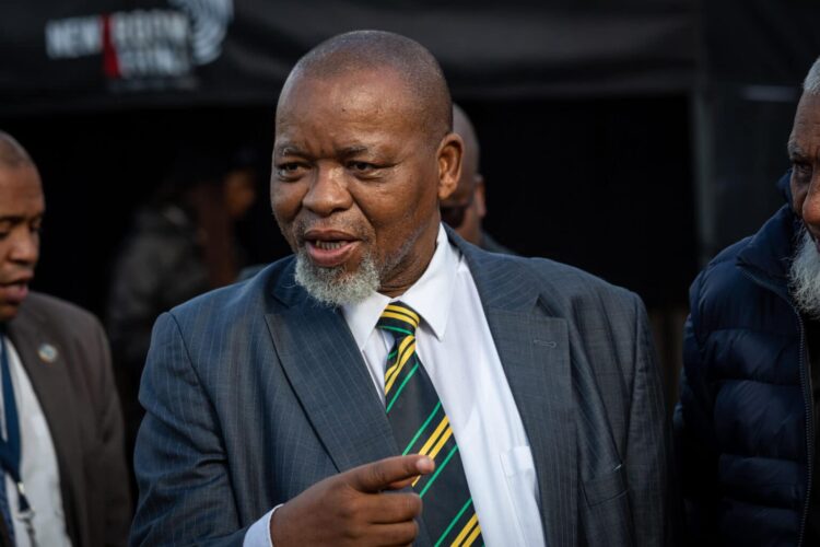 South Africa Contemplates Diversifying Mineral Export Markets Amid Prospective US Tariffs
