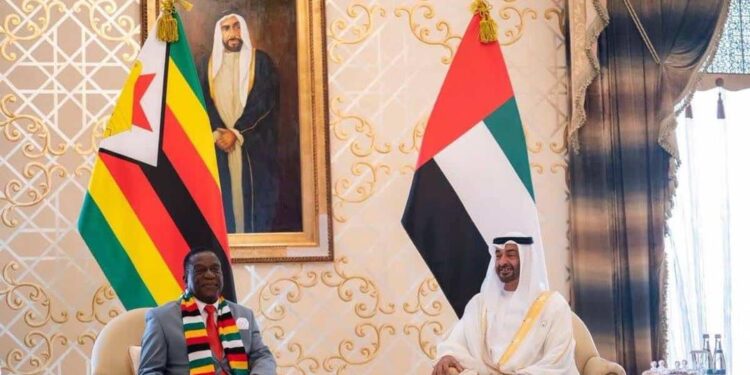 UAE Overtakes as Zimbabwe’s Principal Export Market in June 2025