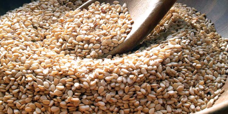Tanzania Surpasses 200,000 Tonne Sesame Trade via Government-Backed Digital Exchange