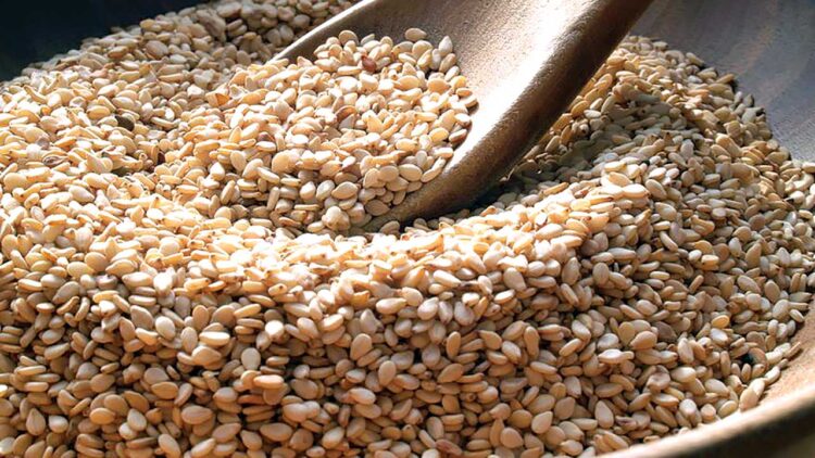 Tanzania Surpasses 200,000 Tonne Sesame Trade via Government-Backed Digital Exchange