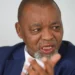 South Africa Endorses International Plan to Promote Natural Diamonds as Synthetic Market Expands