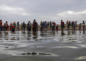 Migration from the Horn of Africa to Yemen Persists Despite Conflict, Danger, and Neglect