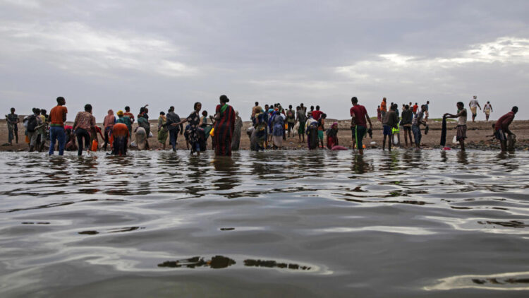 Migration from the Horn of Africa to Yemen Persists Despite Conflict, Danger, and Neglect