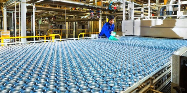 Nampak Zimbabwe Moves Closer to Majority Stake Sale to TSL Limited