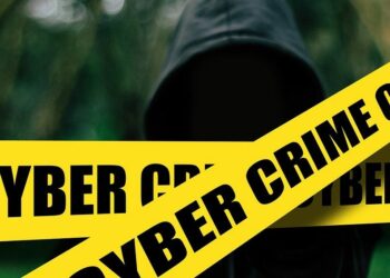 South Africa is a Hacker’s Playground, Why a Cyber Commissioner is Urgent