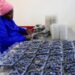 Zimbabwe Secures Landmark Blueberry Export Deal with China
