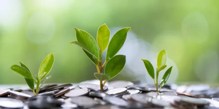 Unlocking Africa’s Private Capital for Climate Action: Beyond the second Africa Climate Summit