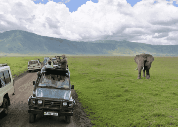 Tanzania’s Tourism Boom: How Storytelling Elevated Global Recognition and Investment