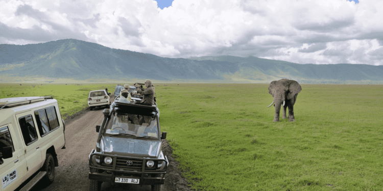 Tanzania’s Tourism Boom: How Storytelling Elevated Global Recognition and Investment