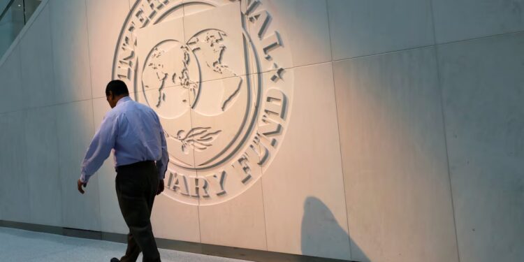 IMF Urges Zimbabwe to Clarify De-dollarisation Strategy Amid ZiG Transition