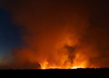 Extensive Fire in Etosha National Park Challenges Namibia’s Ecological and Tourism Recovery